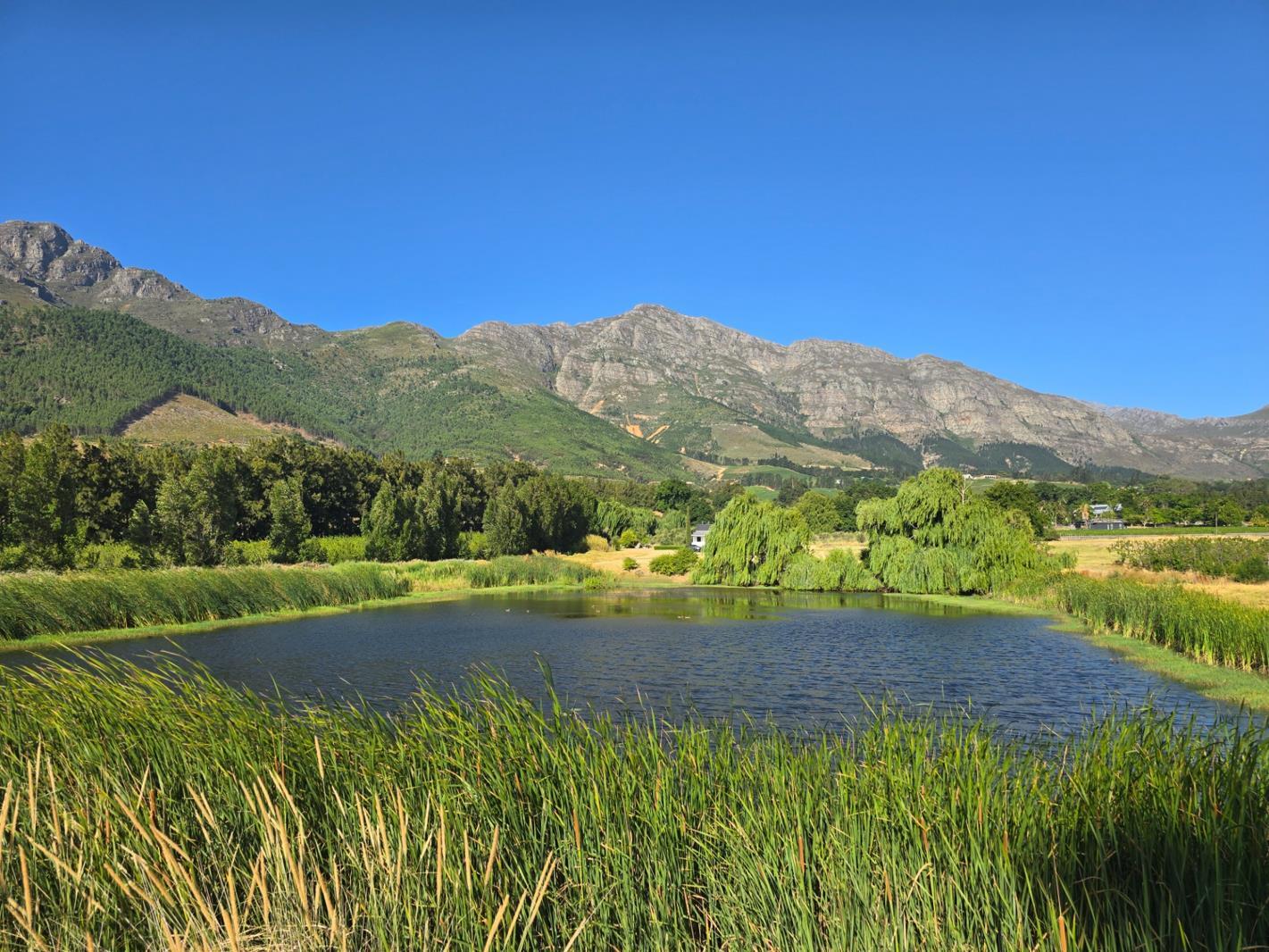 3 Bedroom House in Franschhoek