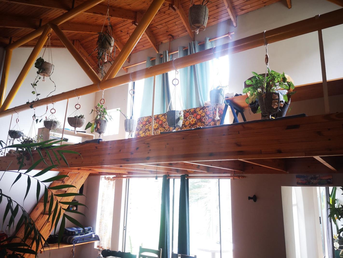 1 Bedroom Apartment in Lyttelton Manor