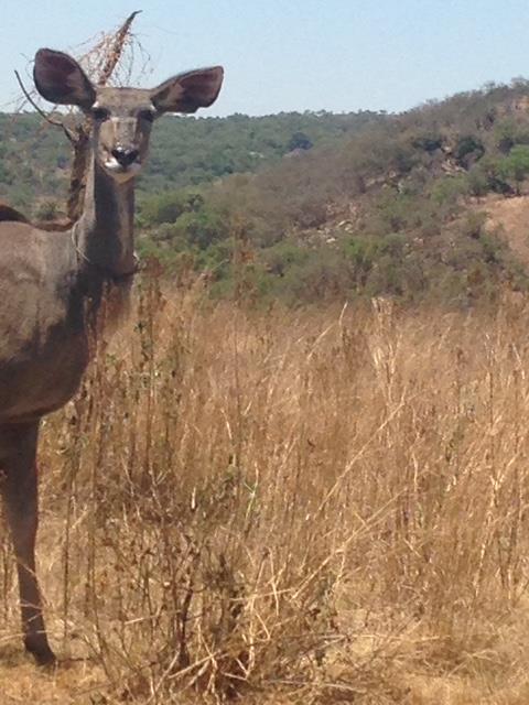 5 ha Land available in Lanseria and surrounds