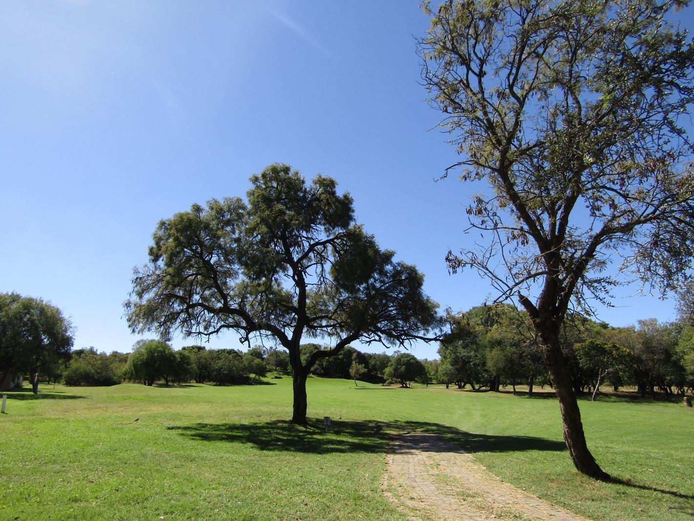 908 m² Land available in Seasons Lifestyle Estate