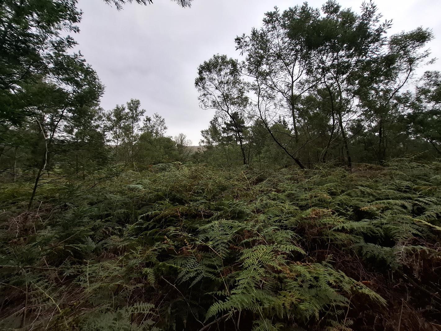 1 468 m² Land available in Suurbraak