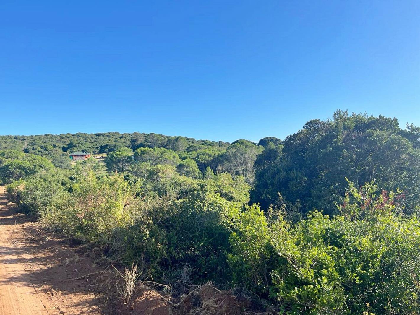 4 284 m² Land available in Bathurst