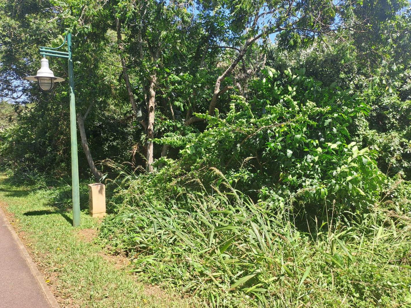 1 207 m² Land available in Kelso