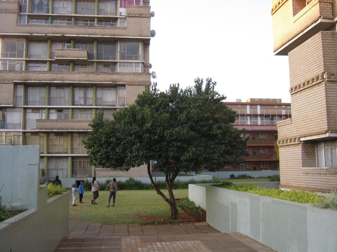 2 Bedroom Apartment in Sunnyside