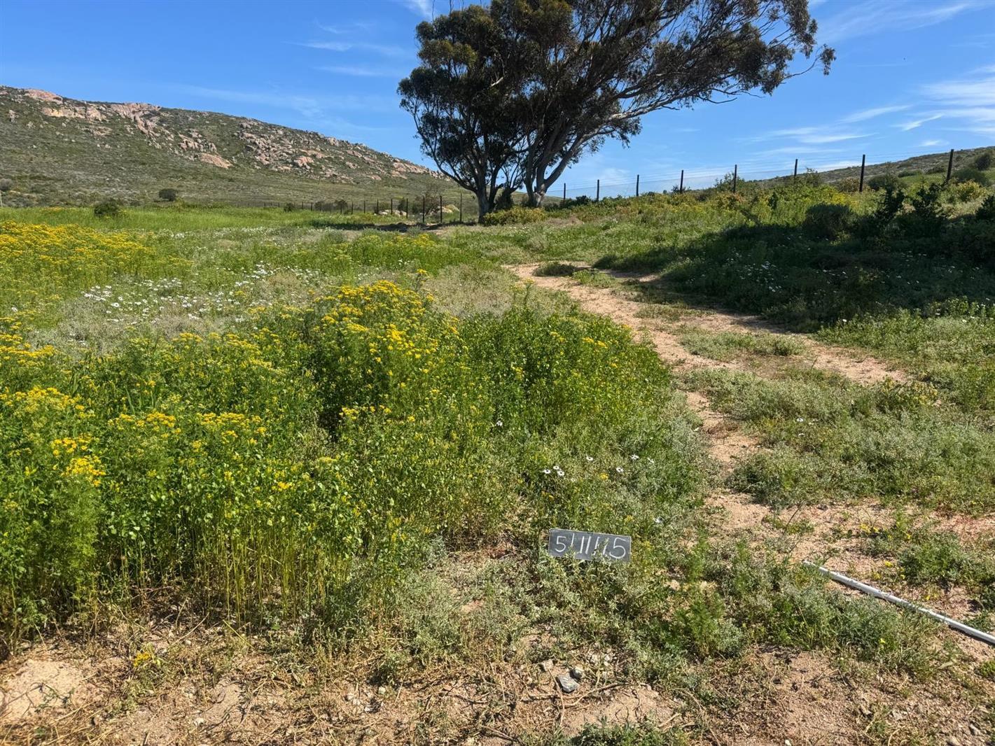 456 m² Land available in St Helena Views