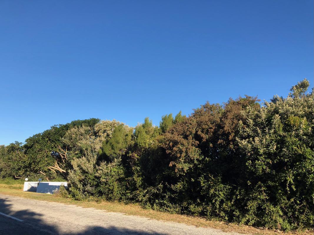 788 m² Land available in Boknesstrand