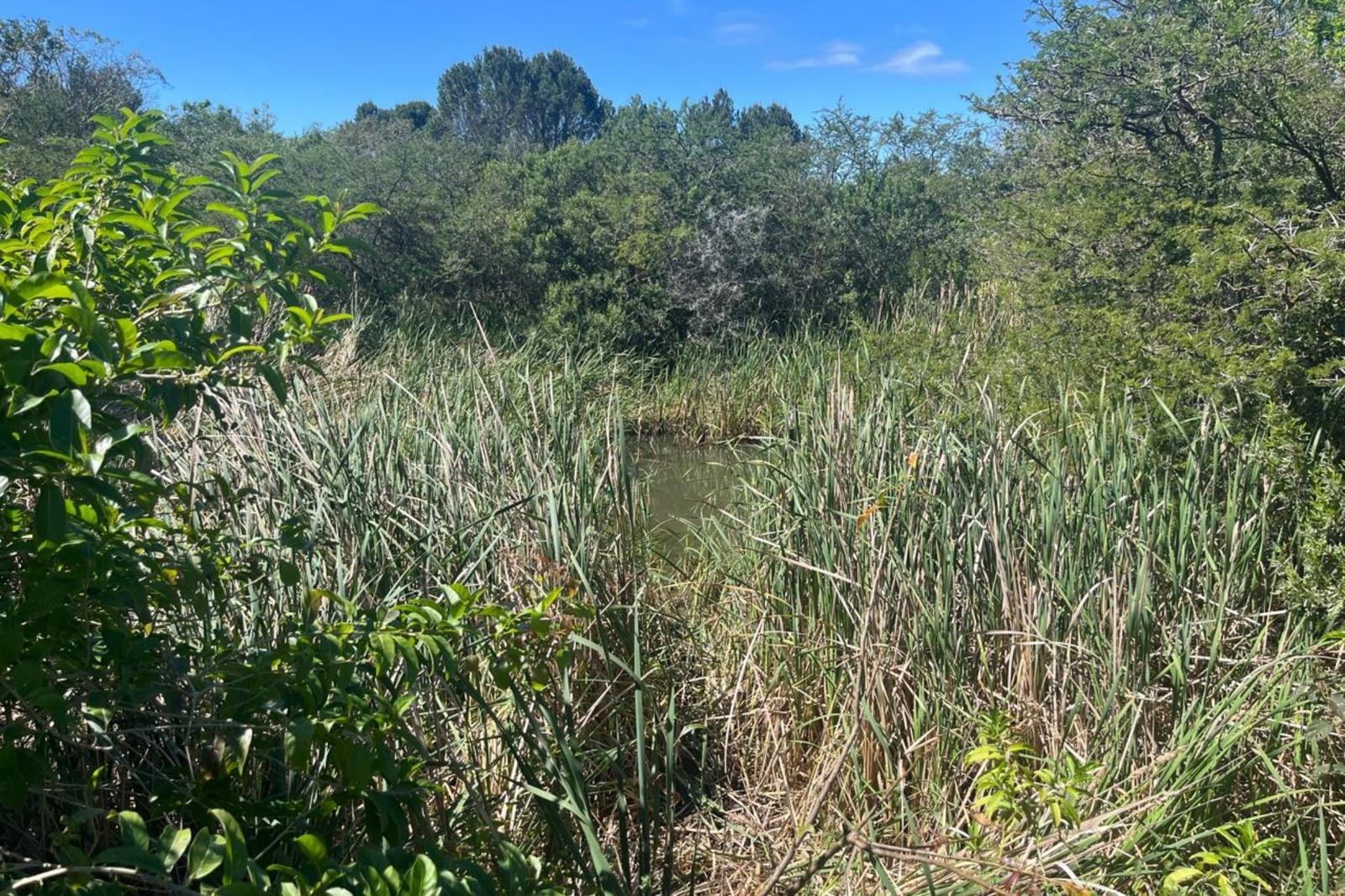 1 552 m² Land available in Bathurst