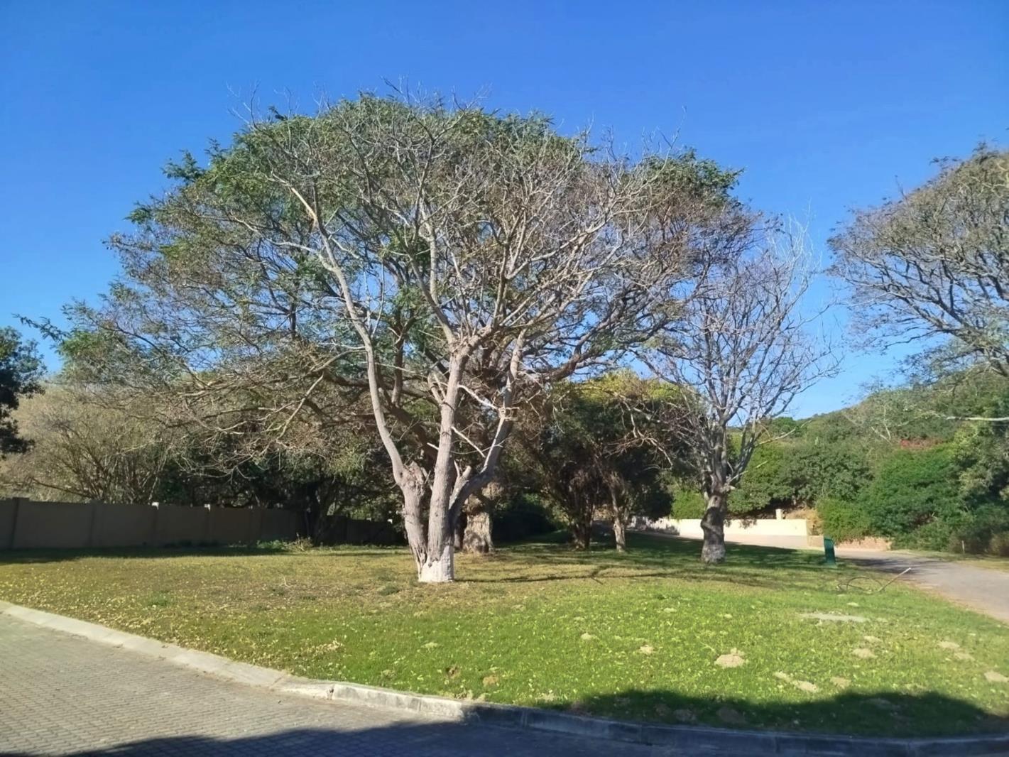 1 475 m² Land available in West Bank