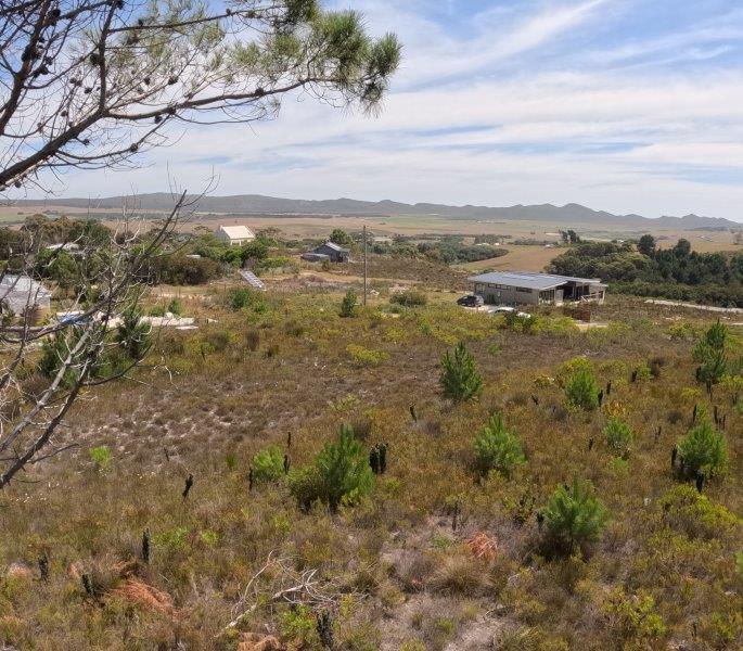 1 835 m² Land available in Baardskeerdersbos