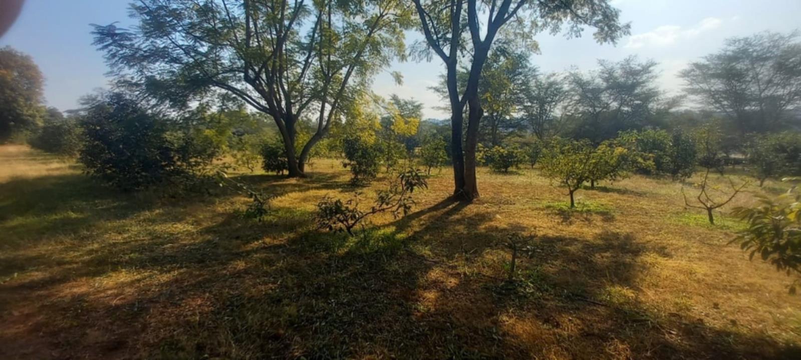 1 ha Land available in White River AH