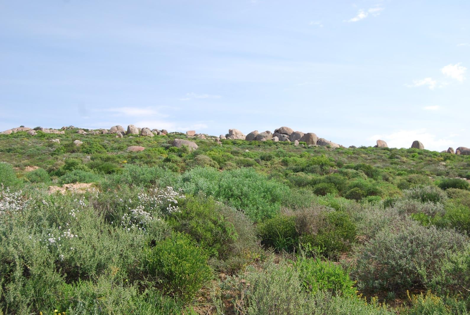 307 m² Land available in St Helena Views