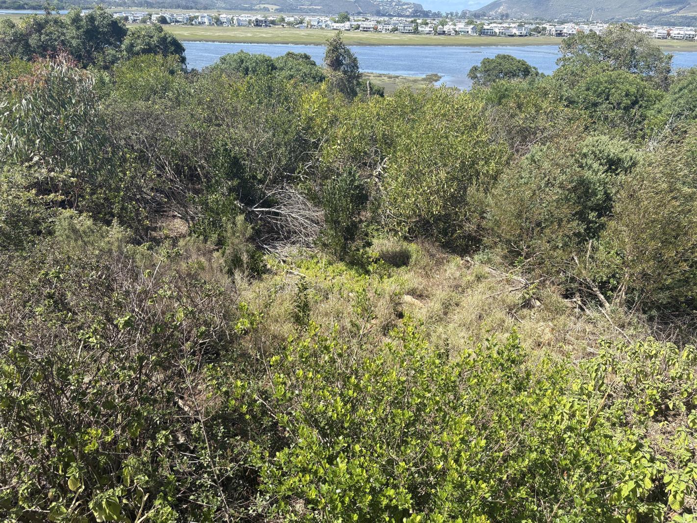 3.6 ha Land available in Knysna Central