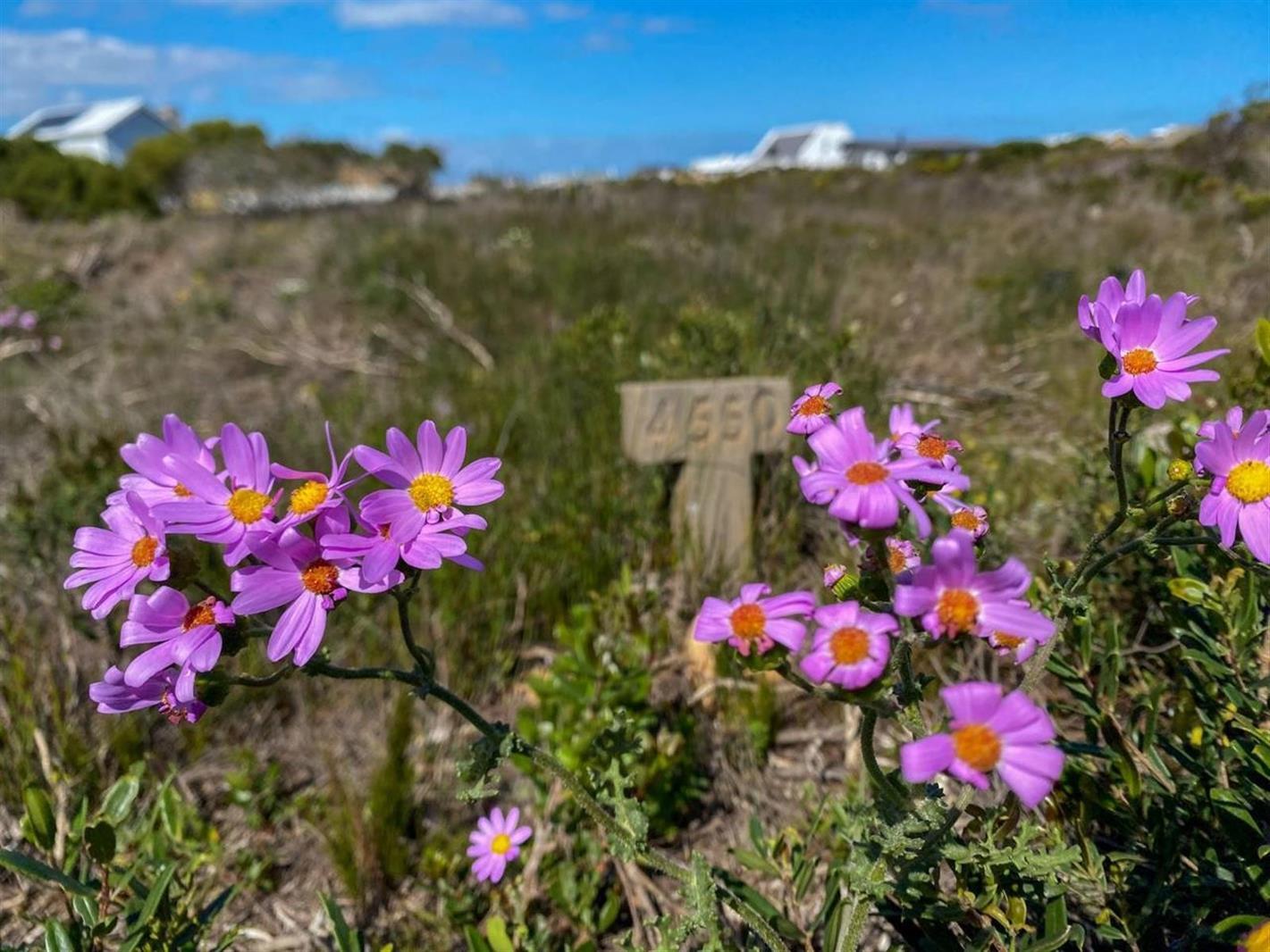 743 m² Land available in Bettys Bay
