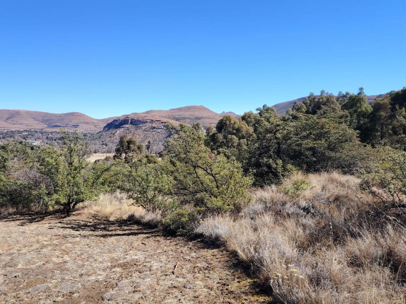 1 561 m² Land available in Clarens