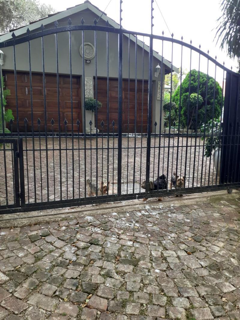 1 Bedroom Garden Cottage in Greenside