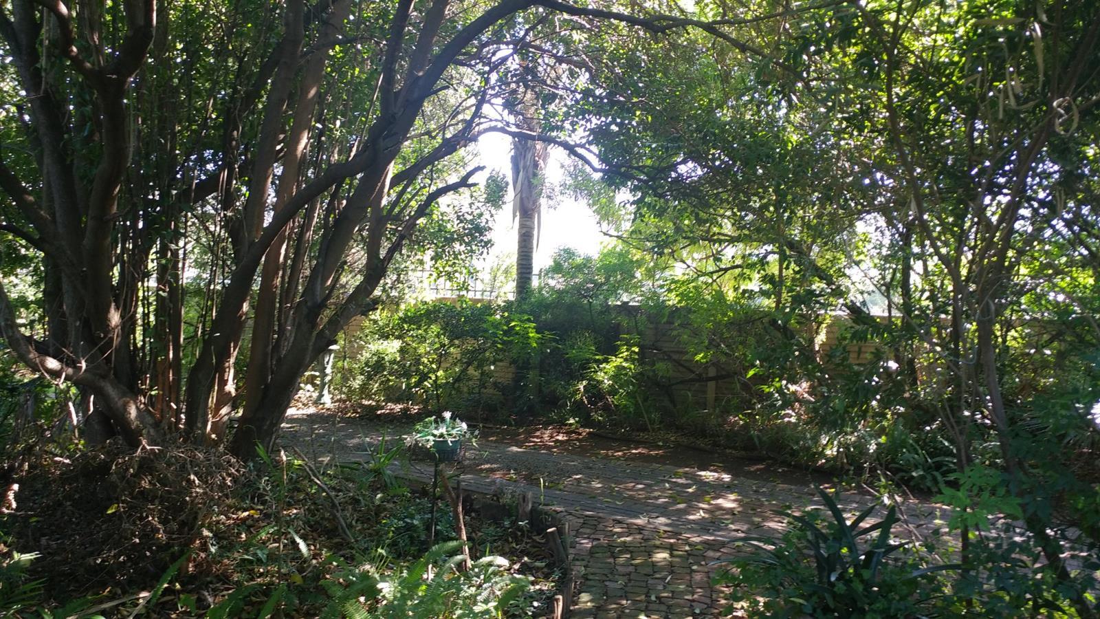 7 Bedroom House in Mountain View