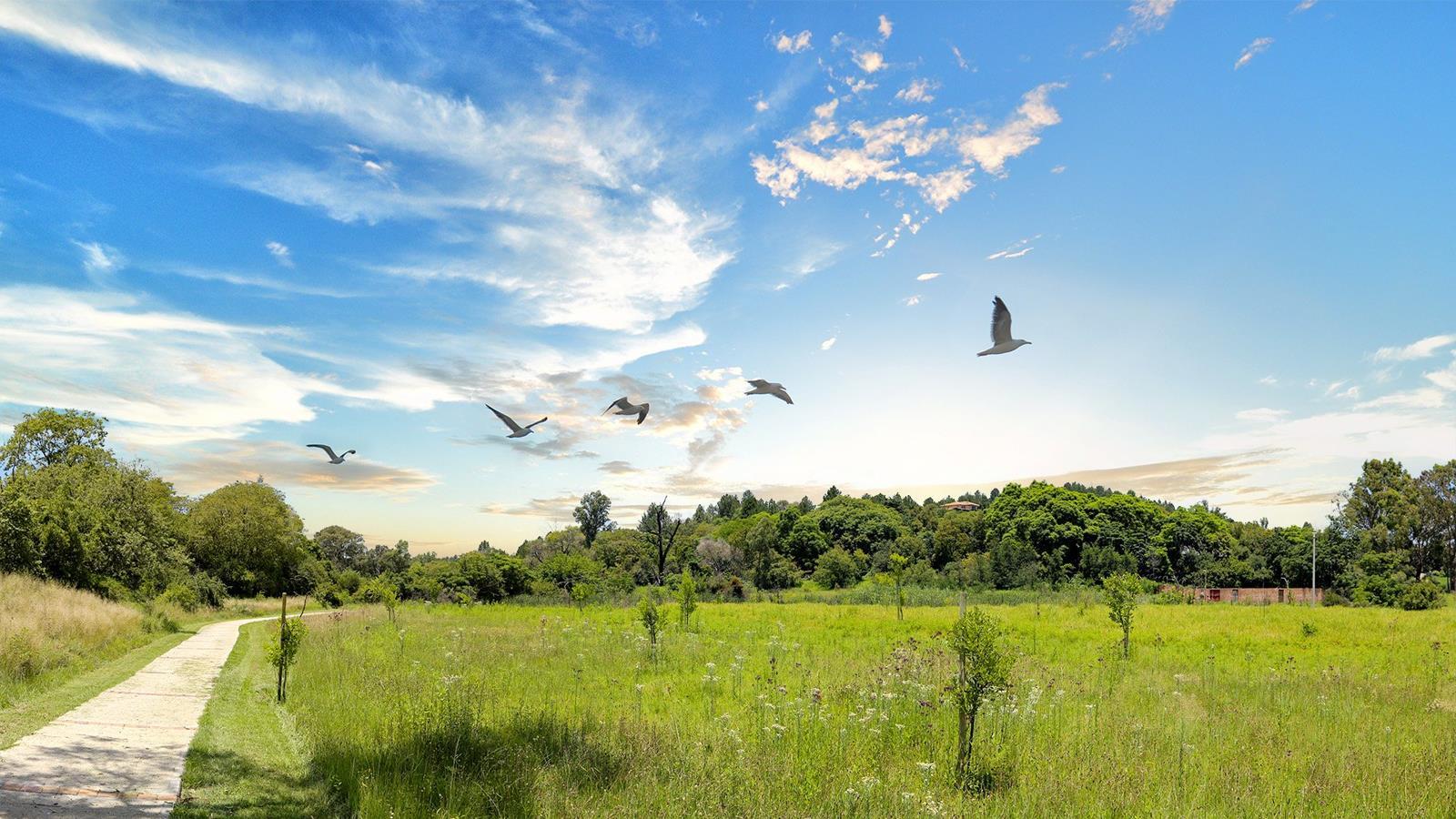5 082 m² Land available in Blue Hills