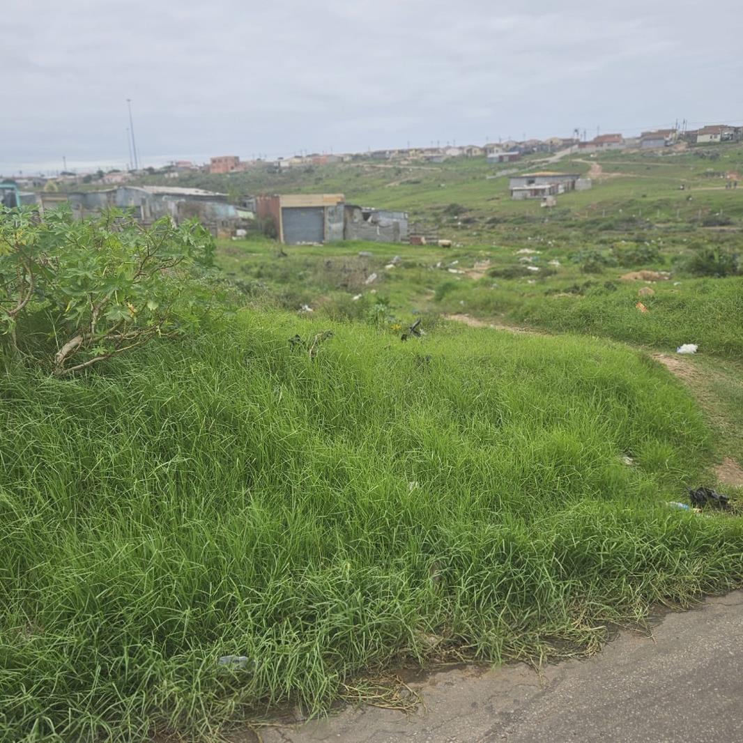 500 m² Land available in Bethelsdorp
