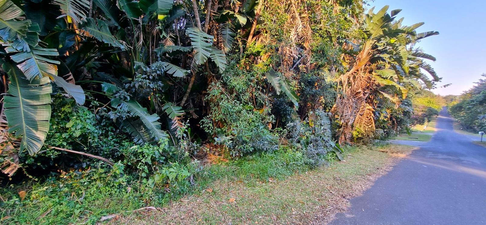 1 339 m² Land available in Trafalgar
