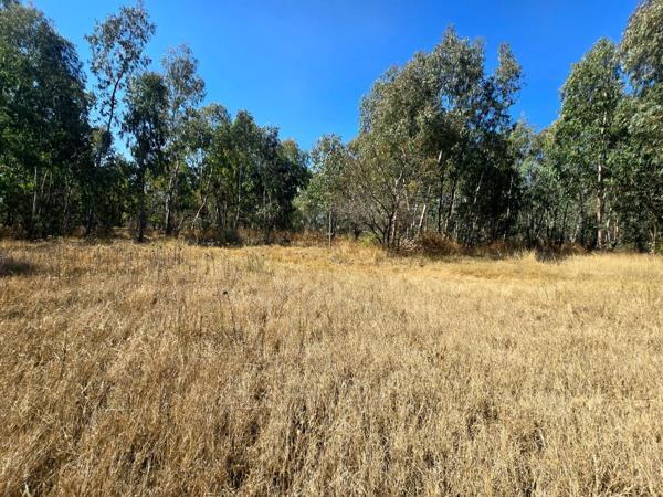 1 ha Land available in Walkerville