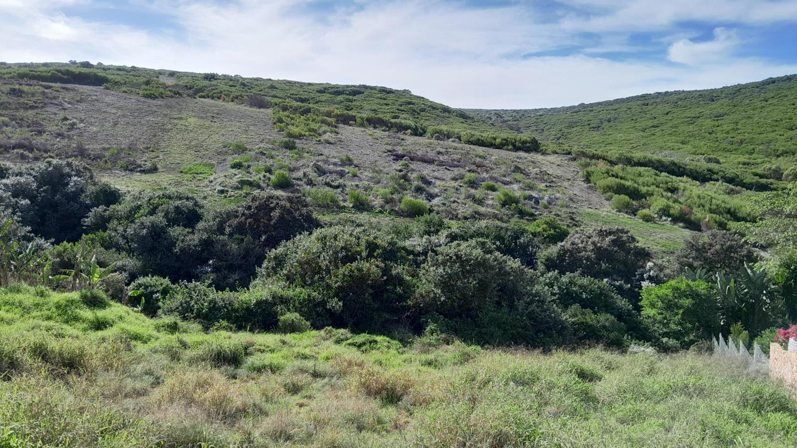 1 090 m² Land available in Dana Bay
