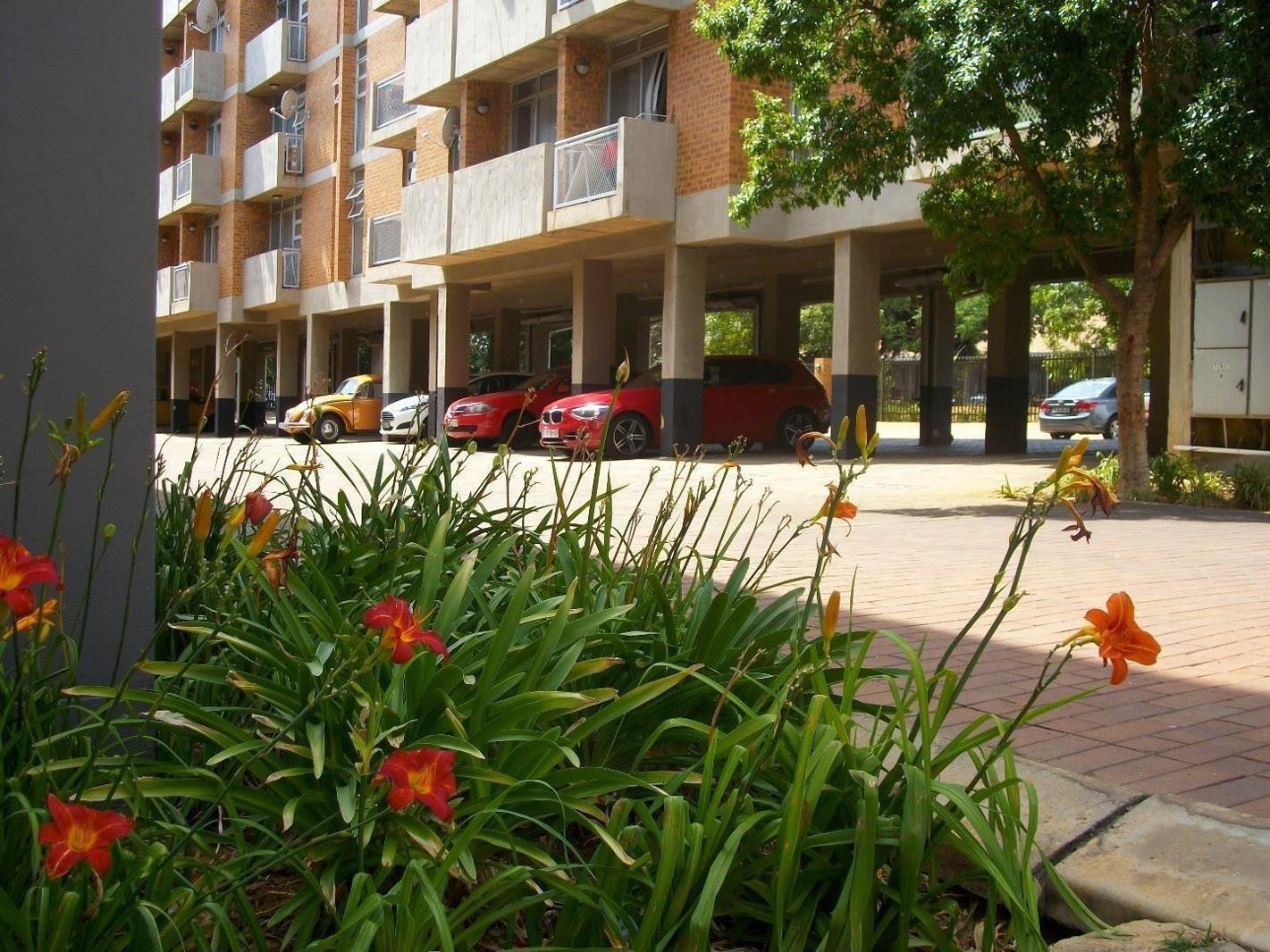 1 Bedroom Apartment in Hillcrest