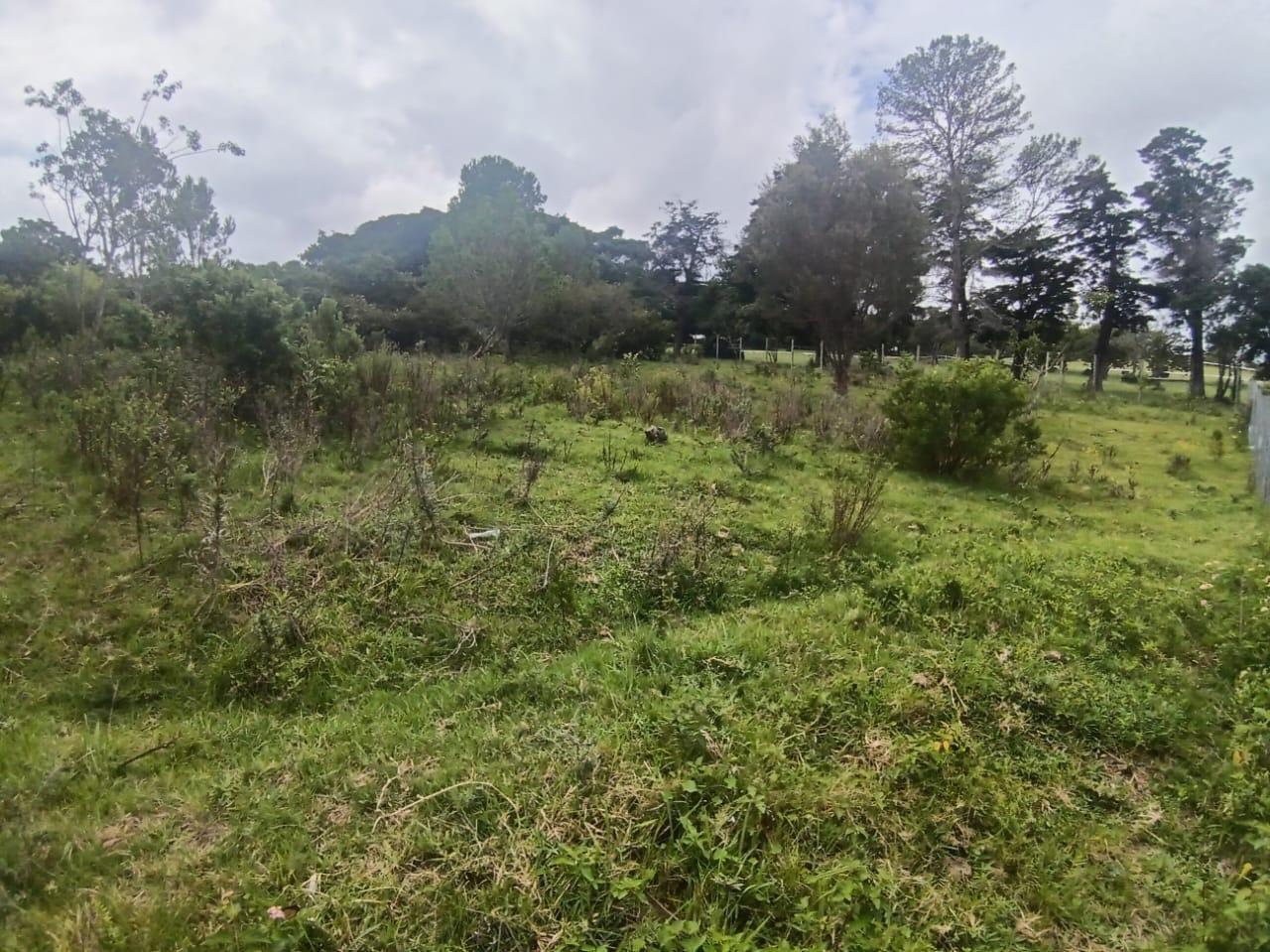 1 260 m² Land available in Bathurst