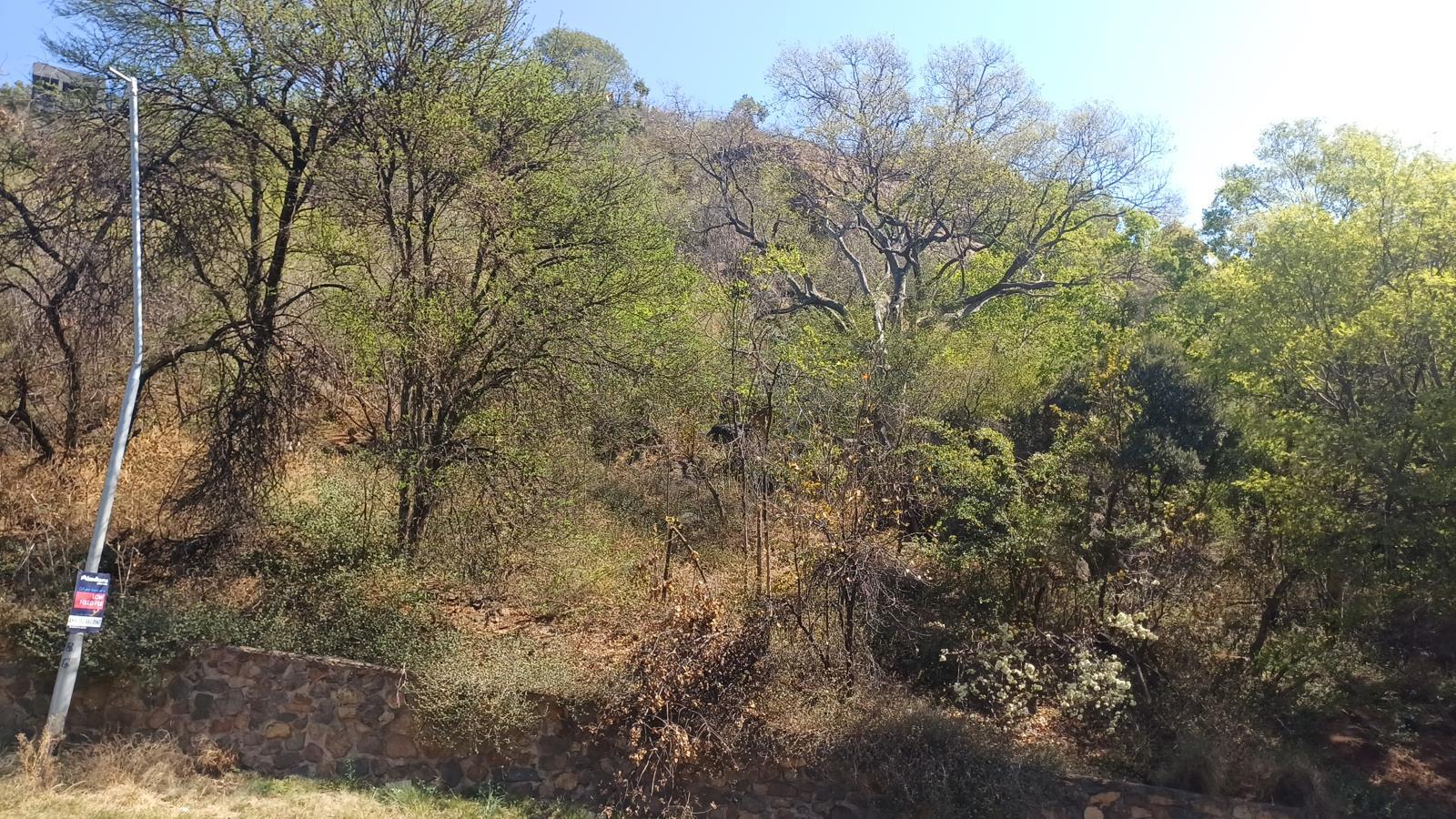 2 517 m² Land available in Glenvista
