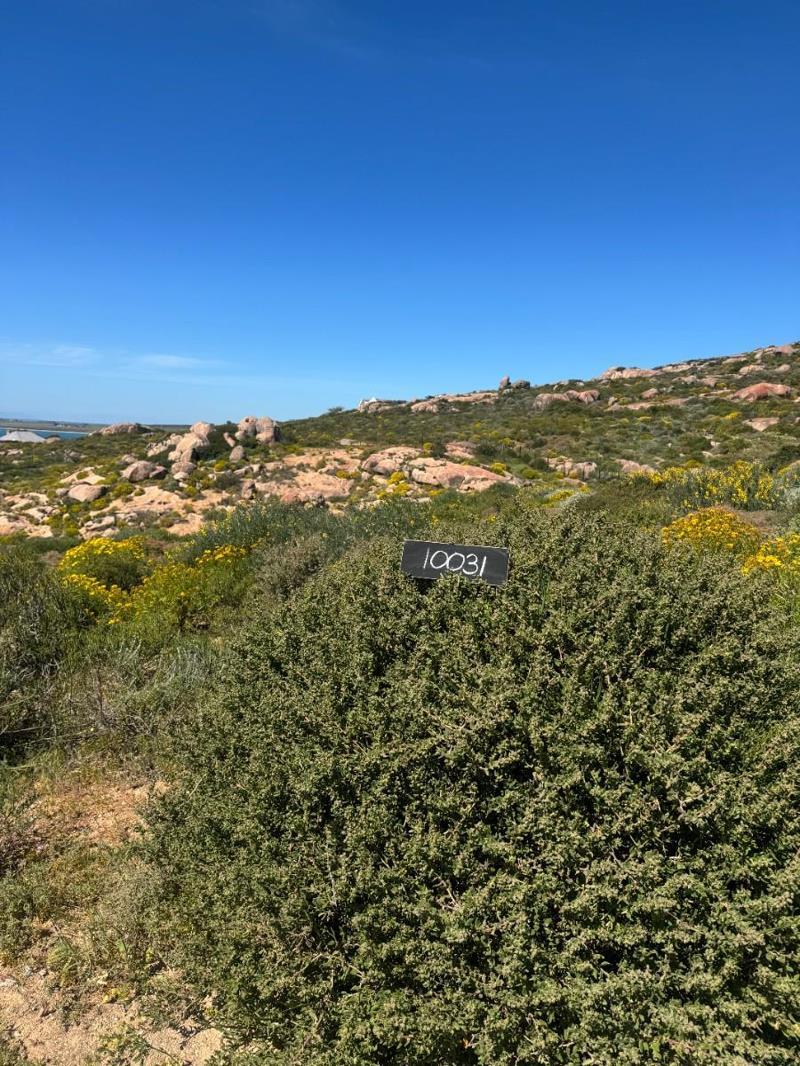 405 m² Land available in St Helena Views