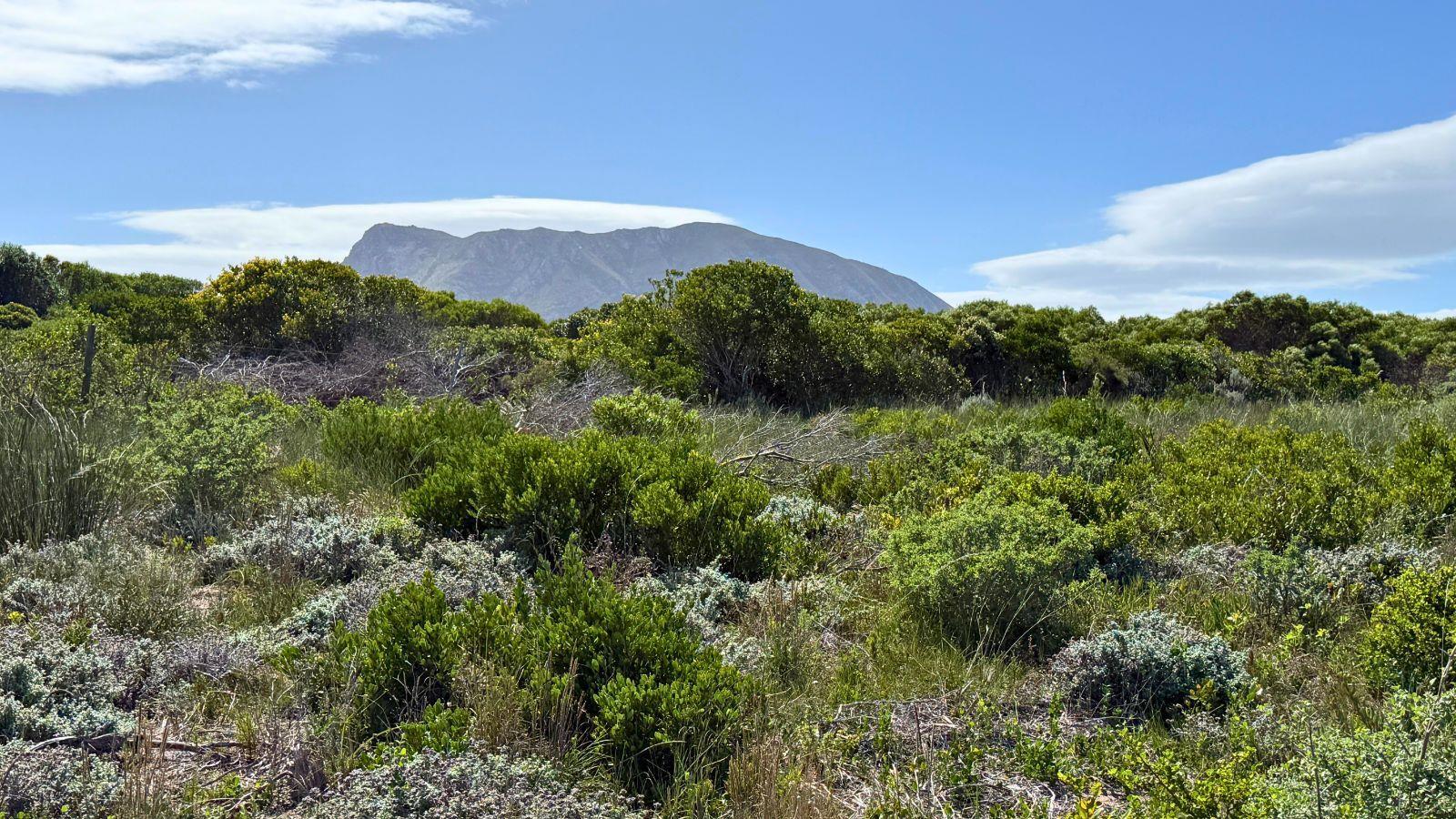 601 m² Land available in Kleinbaai