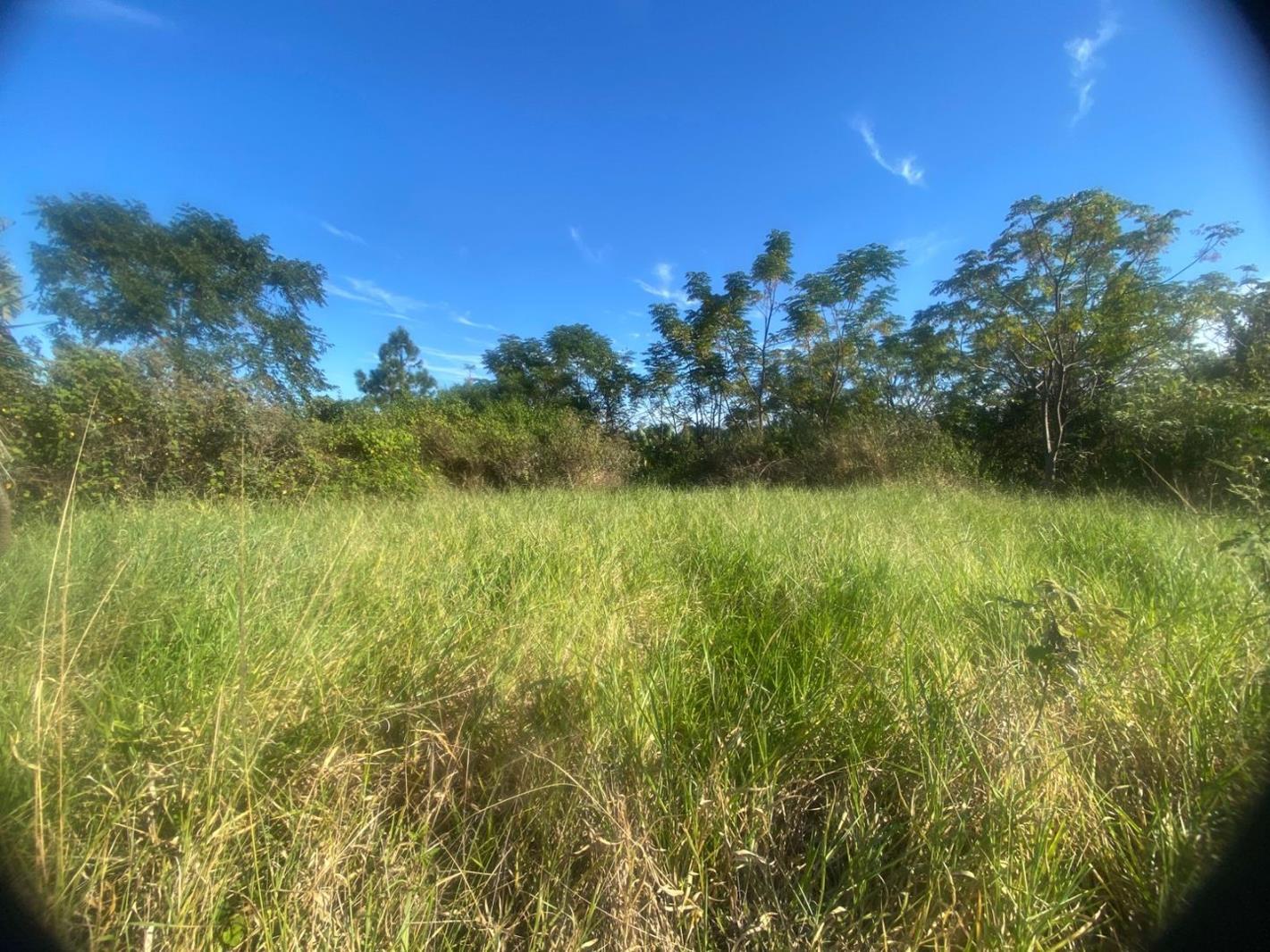 1 361 m² Land available in Ramsgate