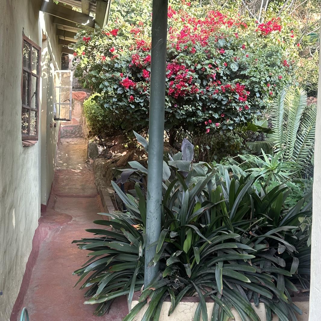 1 Bedroom House in Kensington