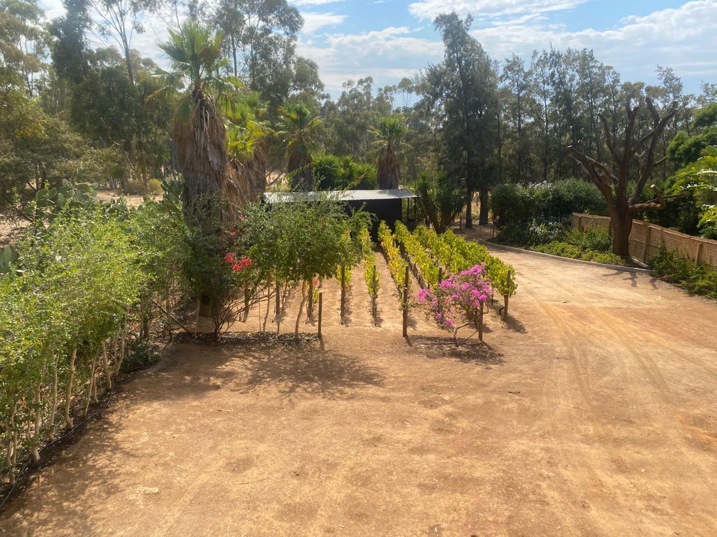 1 019 m² Land available in Riebeek West