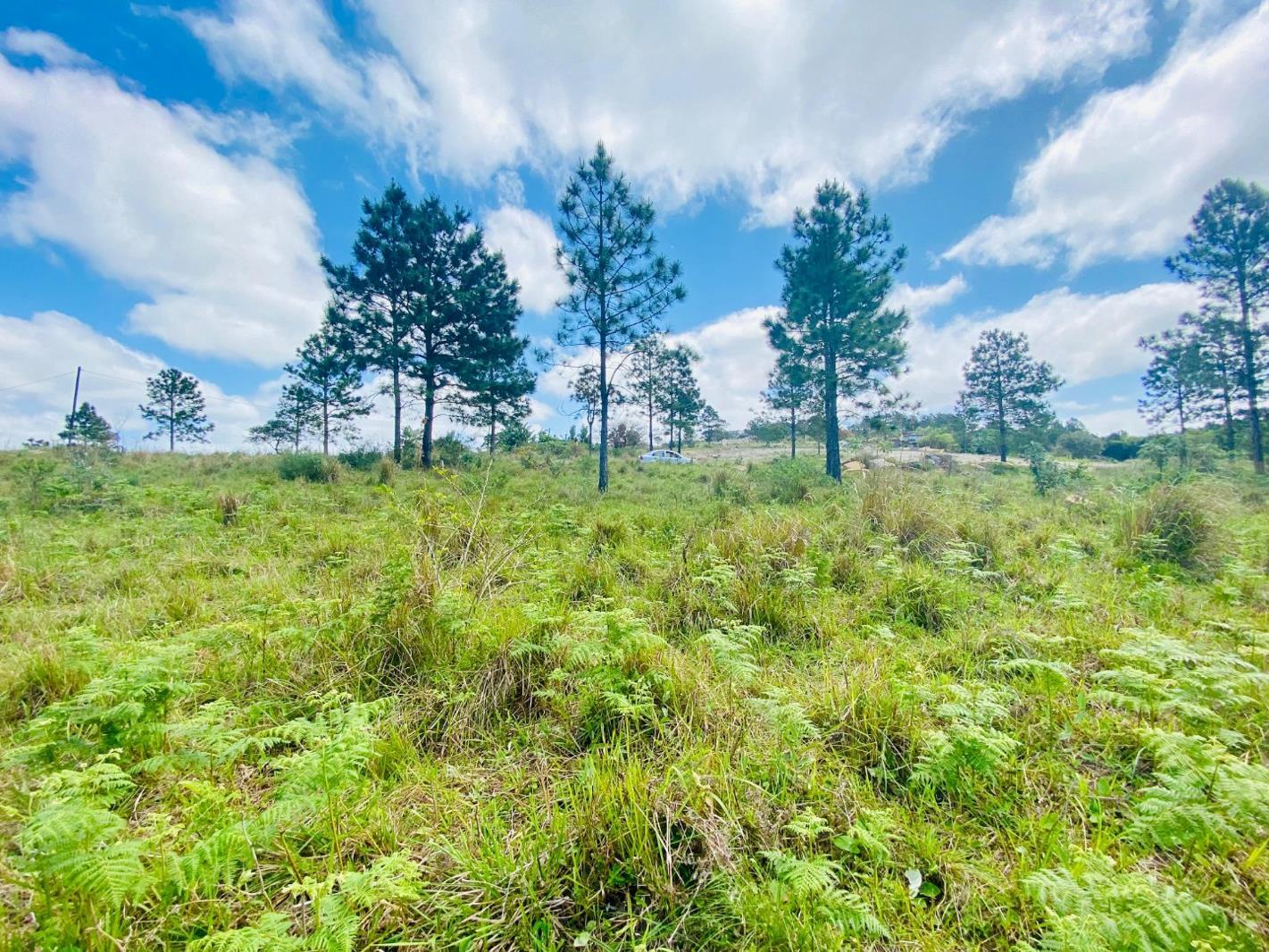 1 253 m² Land available in Margate