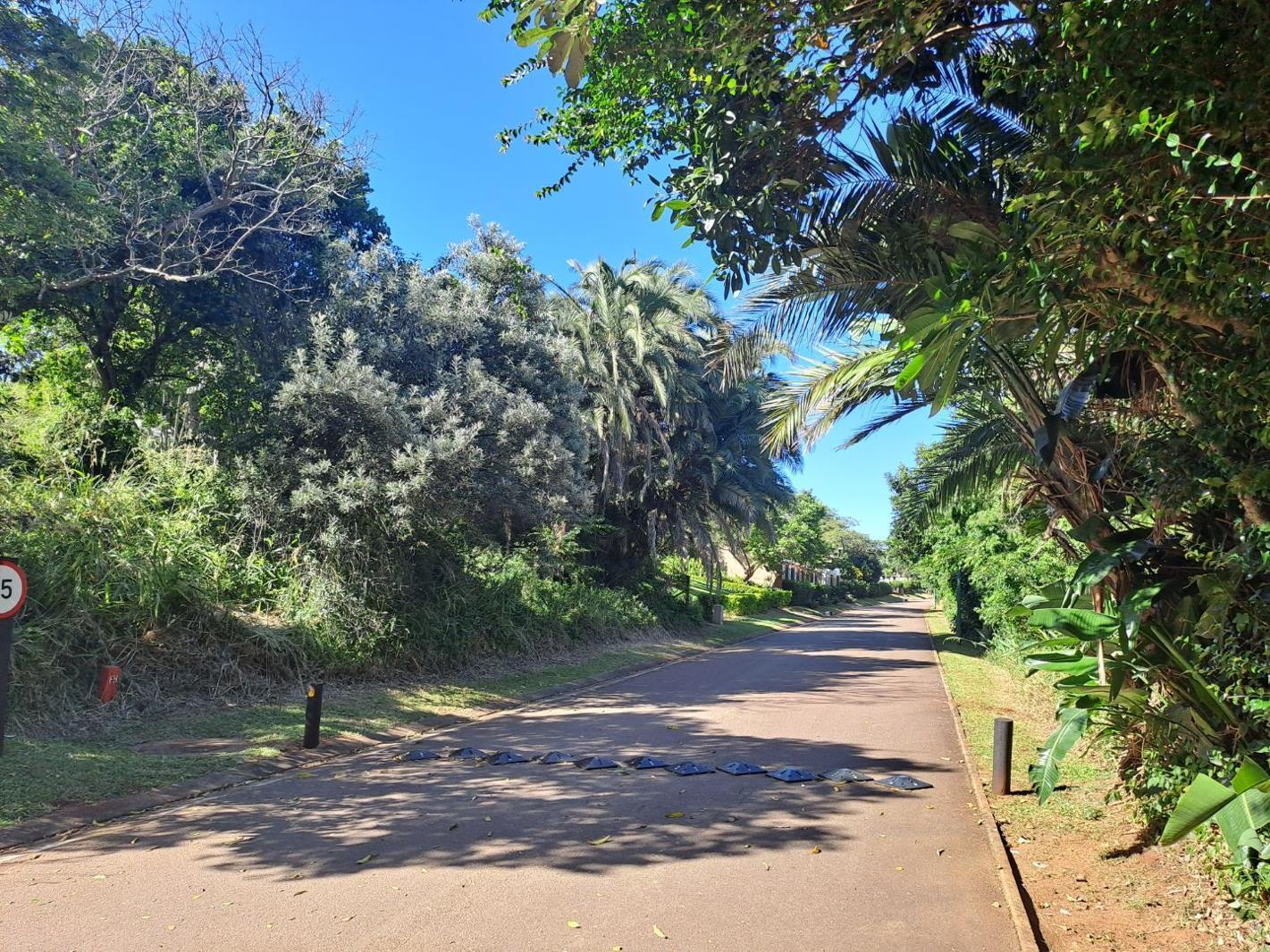 1 116 m² Land available in Kelso