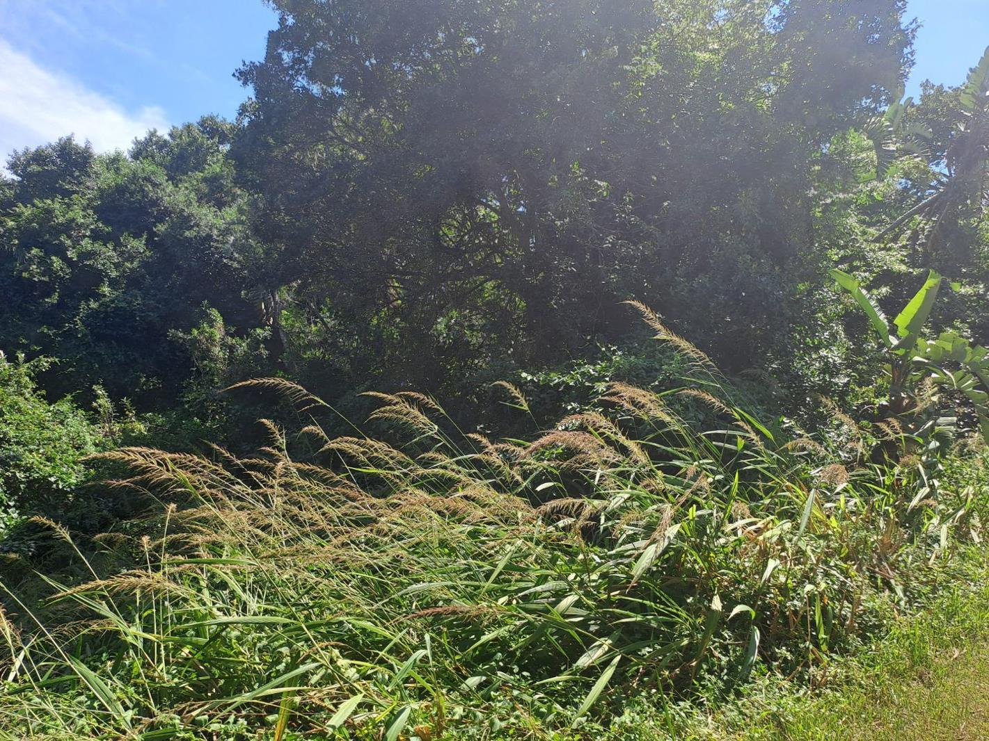 1 178 m² Land available in Kelso