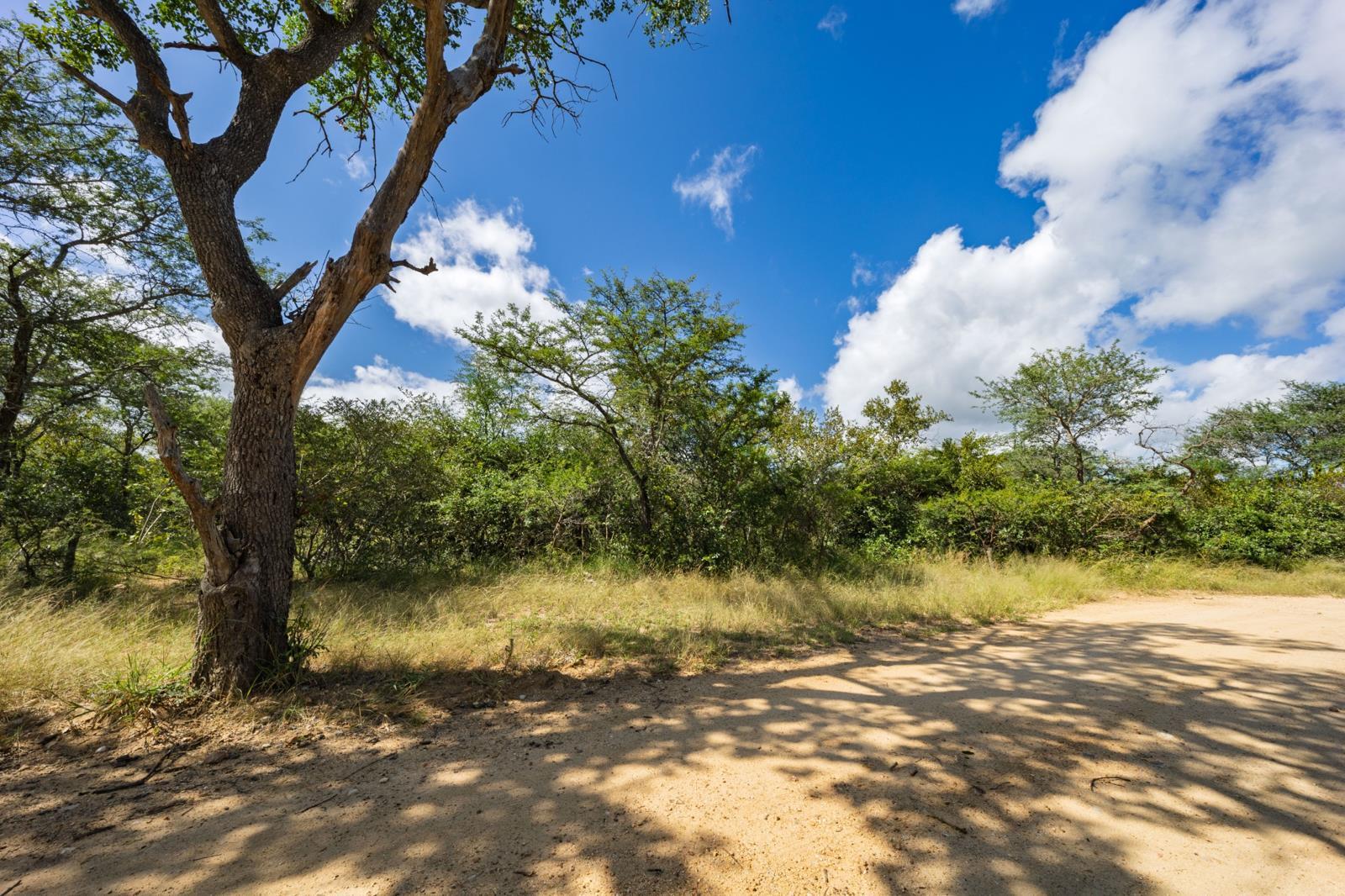 1.1 ha Land available in Moditlo Nature Reserve