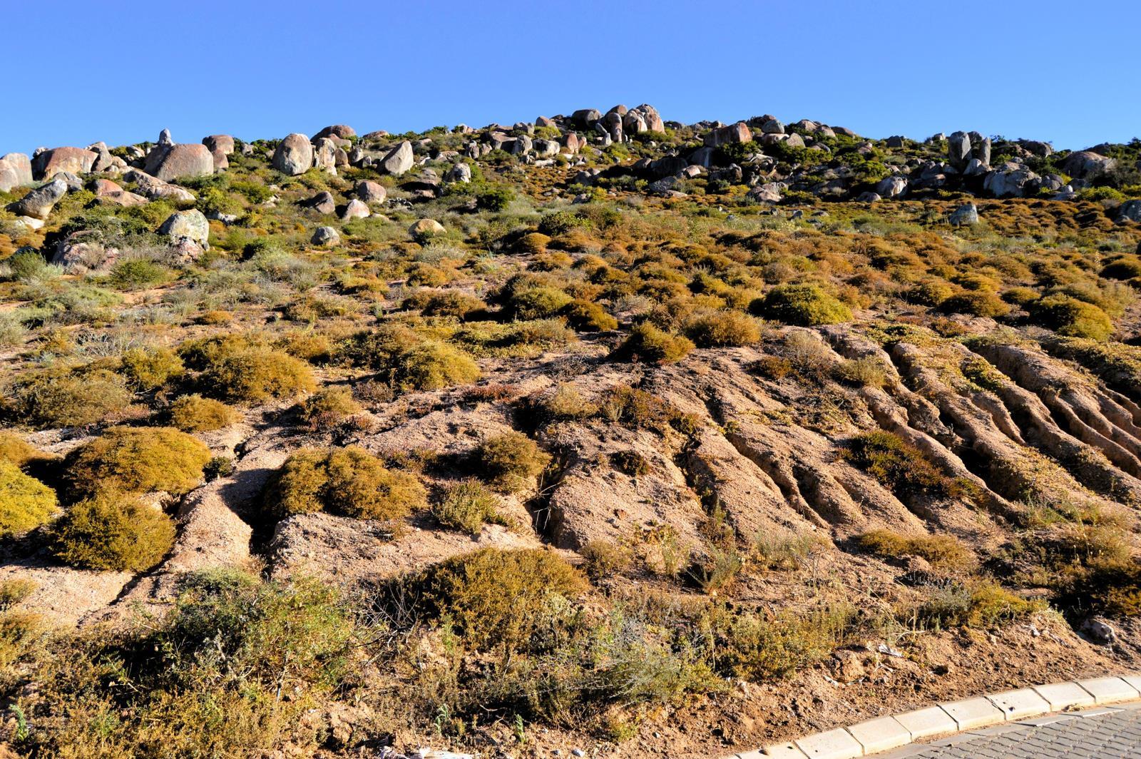 438 m² Land available in St Helena Views