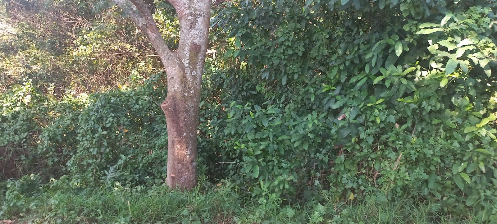 774 m² Land available in Princes Grant Golf Estate