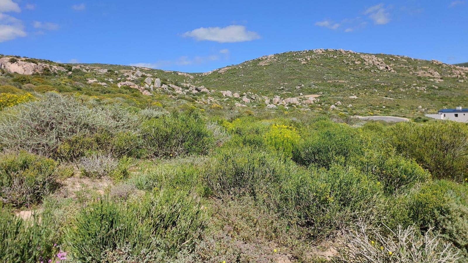 305 m² Land available in St Helena Views