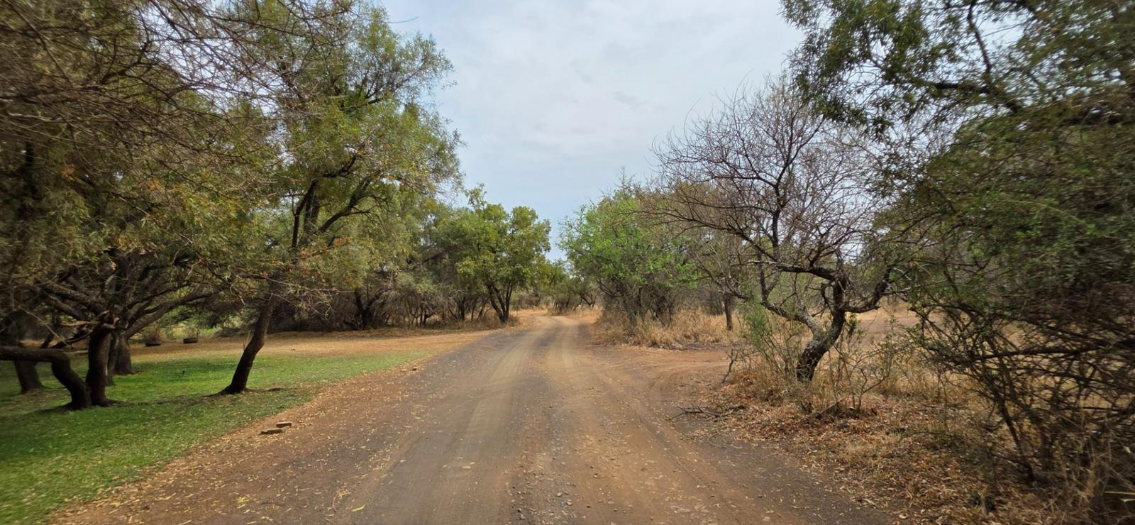 1.5 ha Land available in Buffelsdrift AH