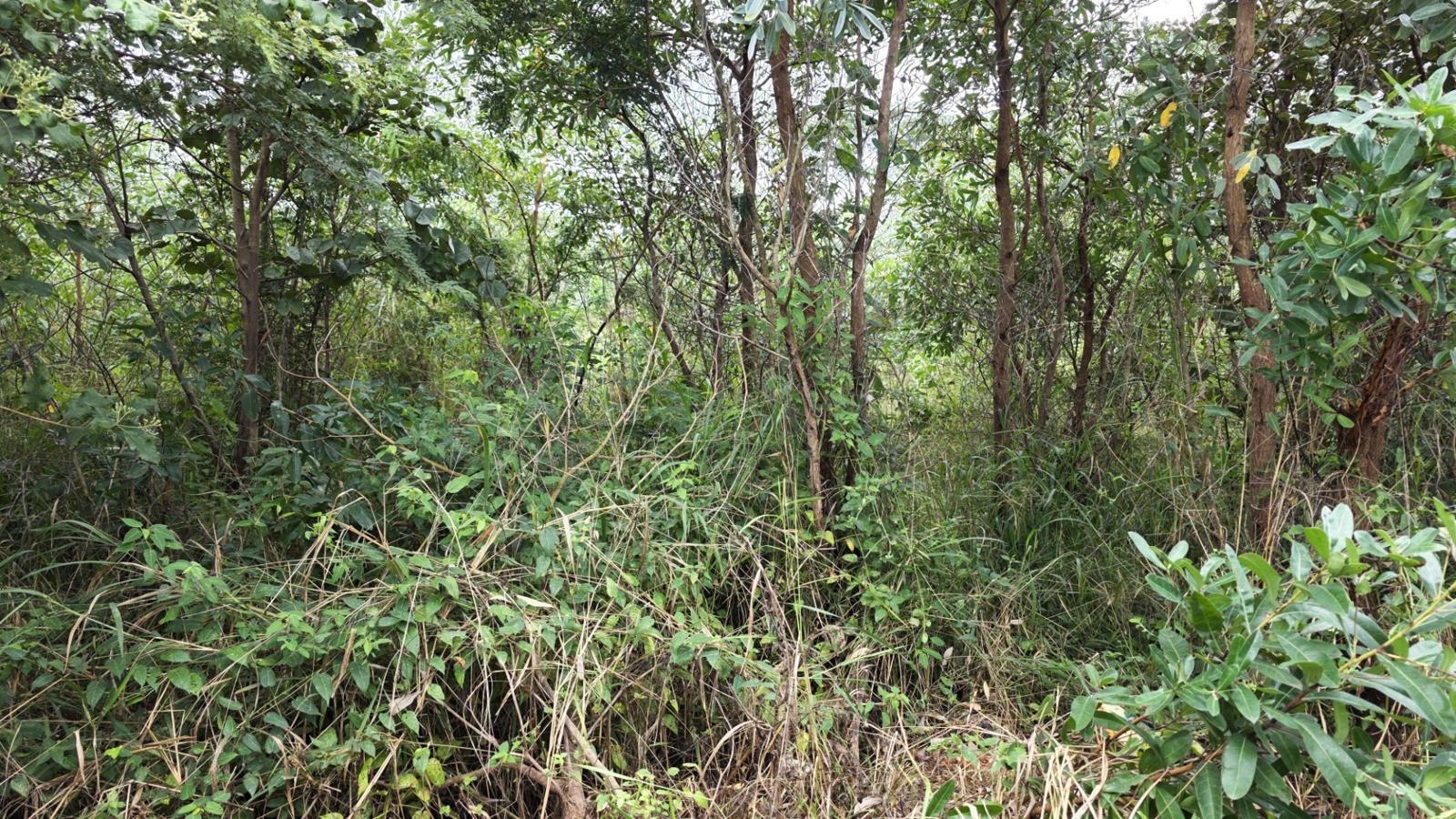1 168 m² Land available in Hazyview