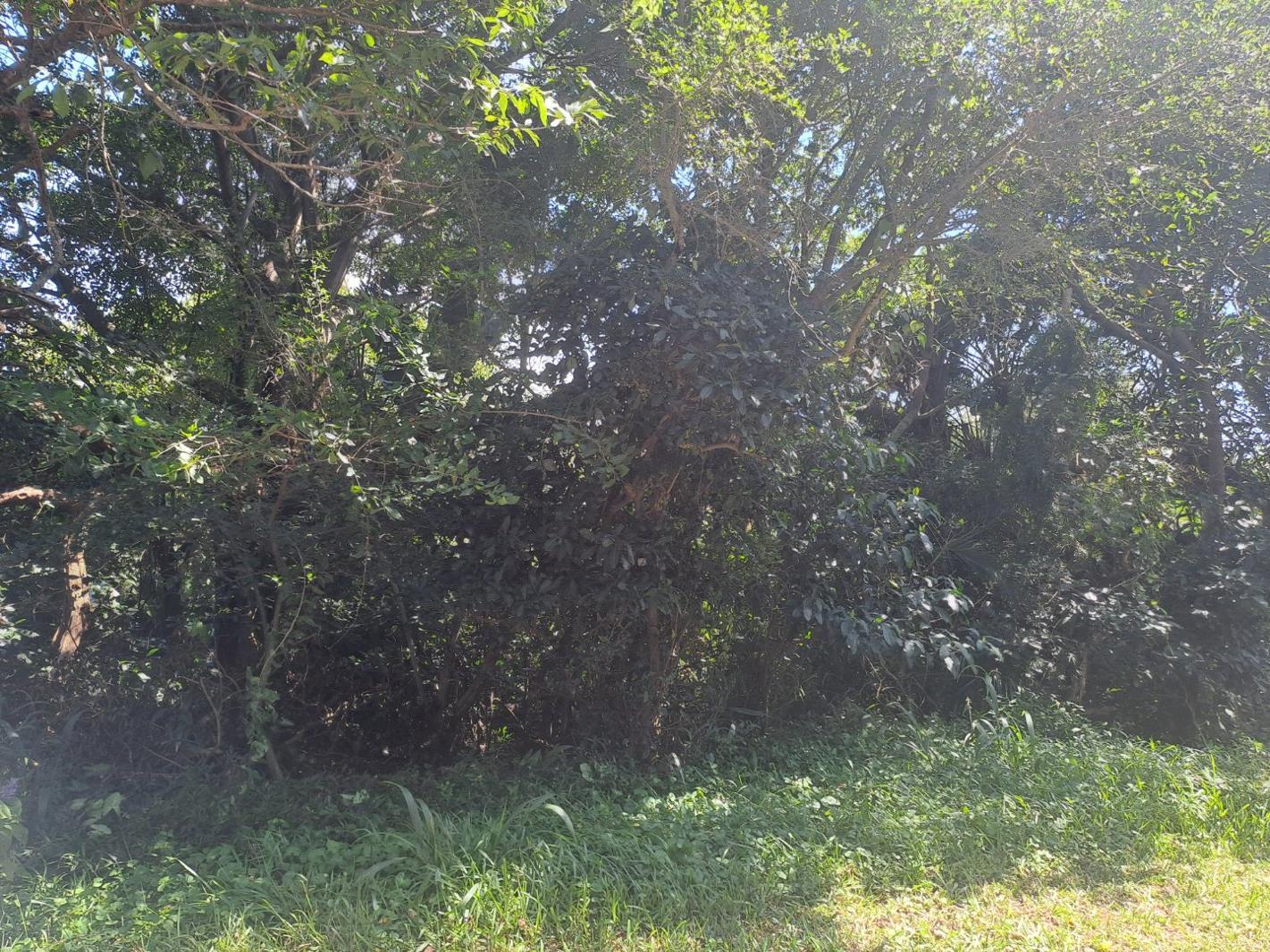 1 228 m² Land available in Kelso