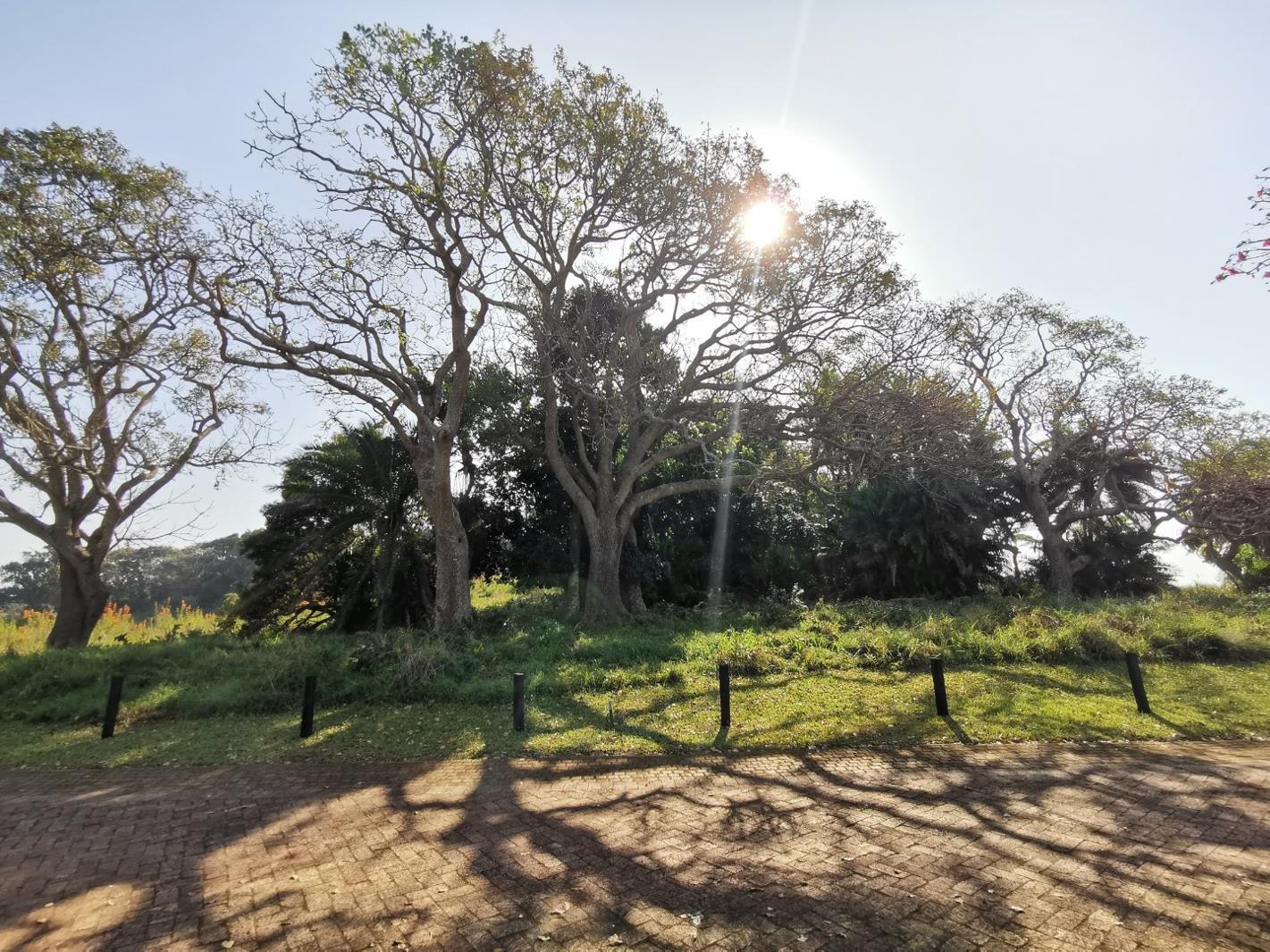 1 707 m² Land available in Port Edward