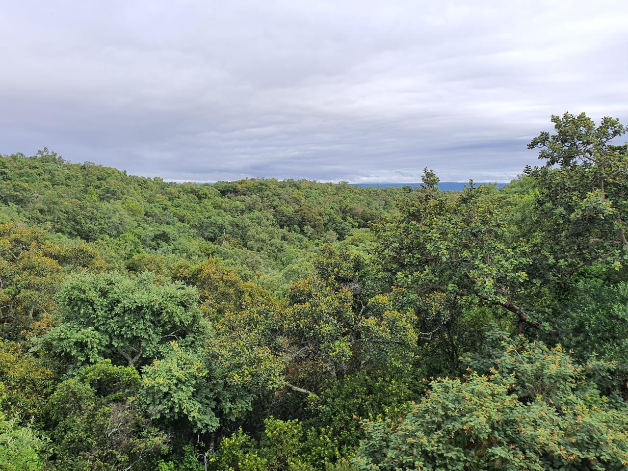 2 500 m² Land available in Bela-Bela (Warmbaths)