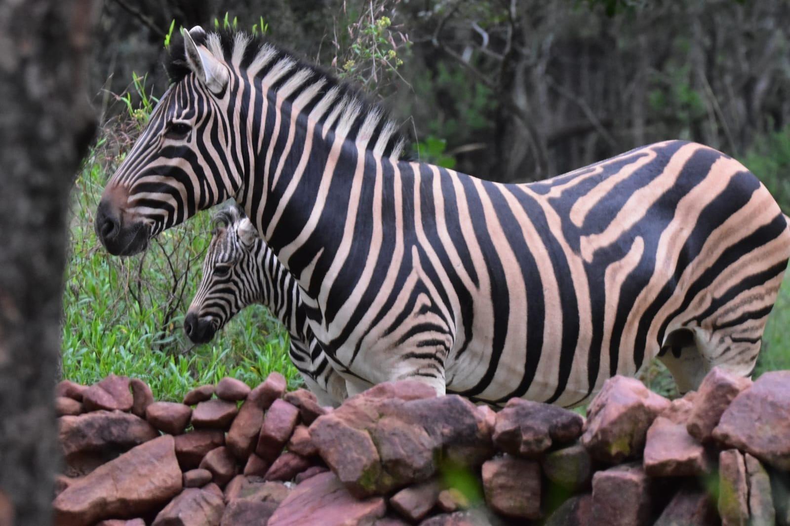 1 050 m² Land available in Koro Creek Golf Estate