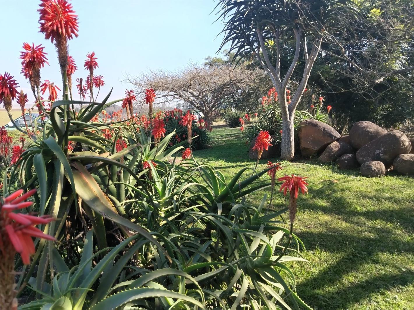 1 527 m² Land available in Merrivale Heights