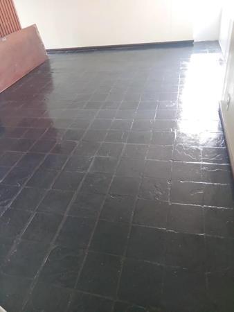 1 Bedroom Apartment in Sunnyside