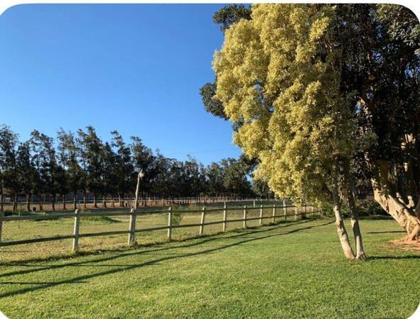 4 Bedroom House in Firlands