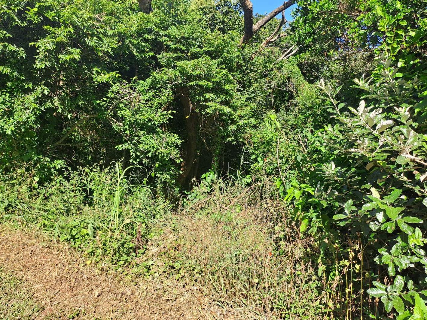 1 116 m² Land available in Kelso